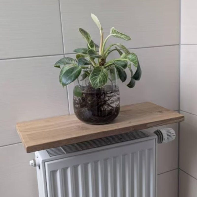 Heizkörperregal aus Eiche im Badezimmer mit Philodendron in Glasvase