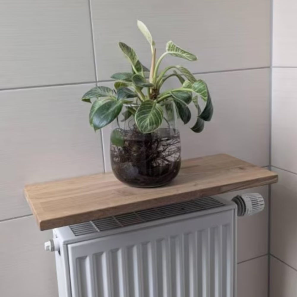 Heizkörperregal aus Eiche im Badezimmer mit Philodendron in Glasvase