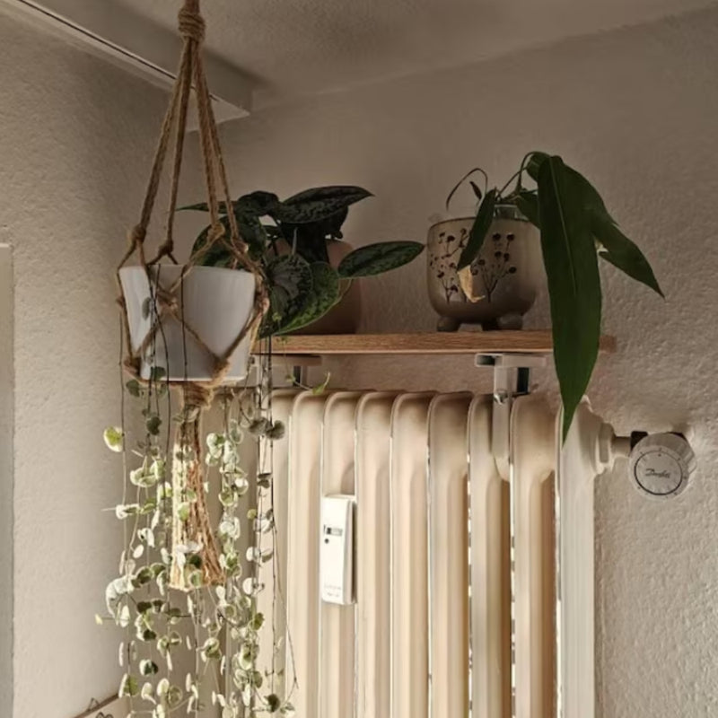 Heizkörperregal aus Eiche mit Zimmerpflanzen und hängendem Makramee-Blumentopf